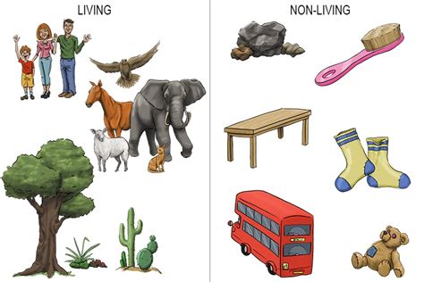 Living things .